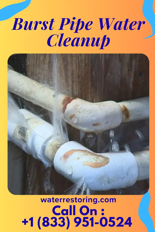 Burst Pipe Water Cleanup in Fultonville, NY