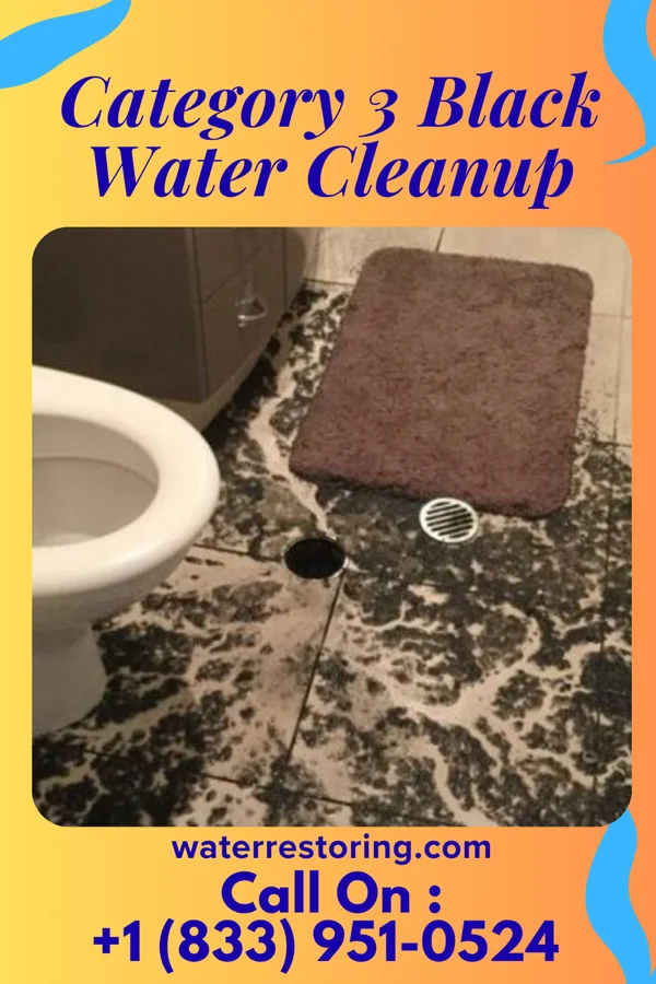 Category 3 Black Water Cleanup in Fultonville, NY